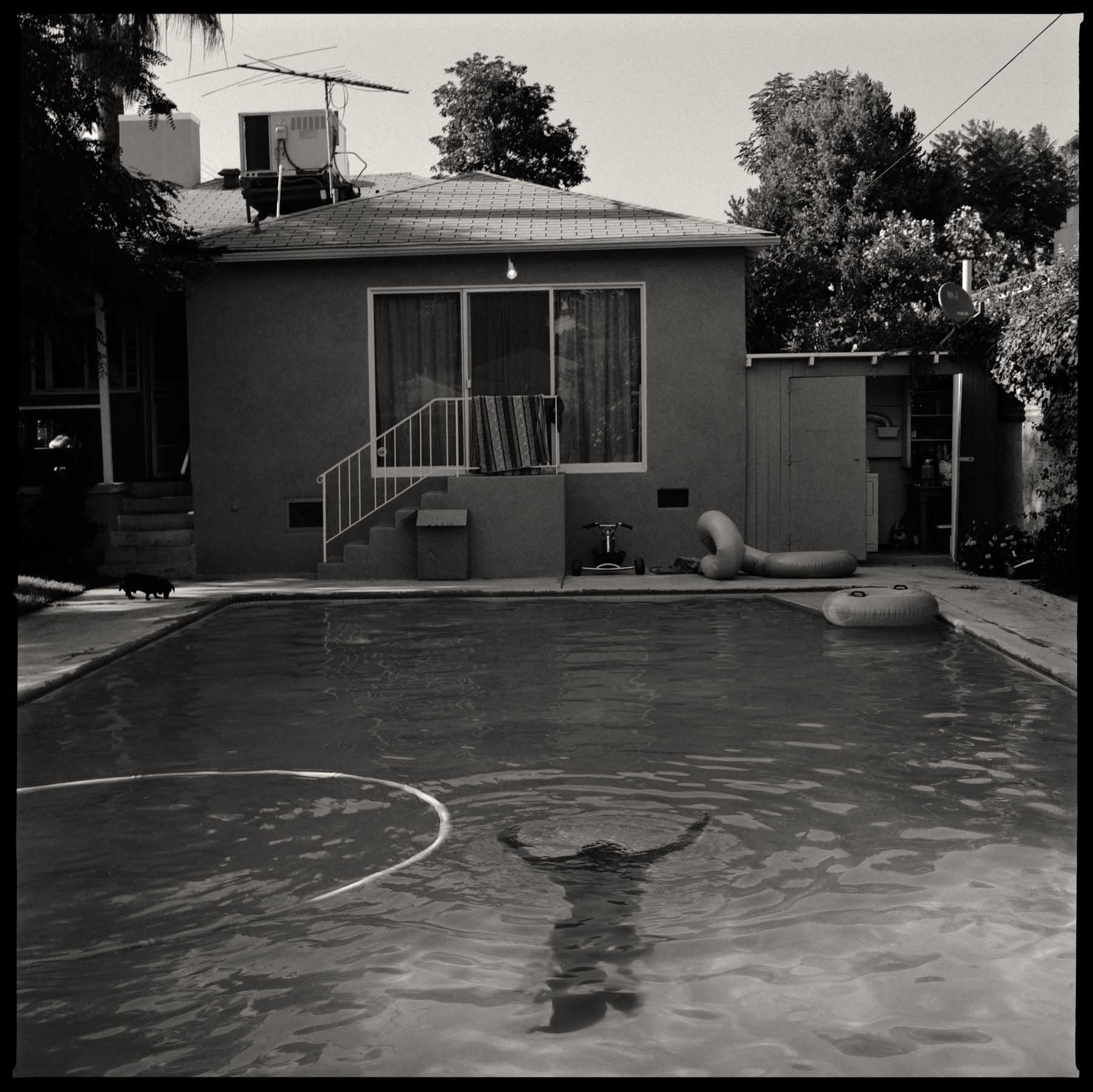 CRYPTOZOOLOGY, POOL